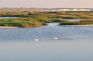 BAIE DE SOMME, FRANCE 