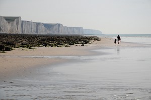BAIE DE SOMME, FRANCE 
