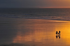BAIE DE SOMME, FRANCE 