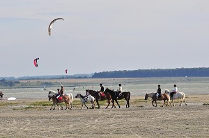 BAIE DE SOMME, FRANCE 