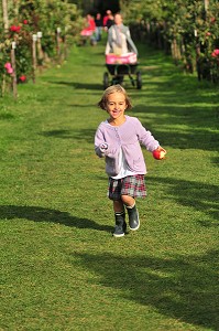 PETITE FILLE COURANT AVEC UNE POMME DANS UN VERGER 