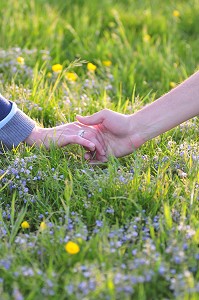 MAINS JOINTES D'UN COUPLE SUR FOND DE PRAIRIE FLEURIE 
