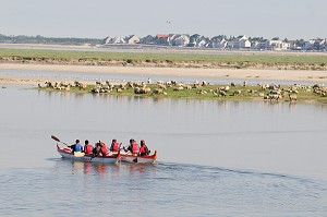 BAIE DE SOMME, FRANCE 