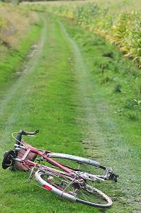 VELO ABANDONNE DANS UN CHEMIN, AU MILIEU DES CHAMPS 
