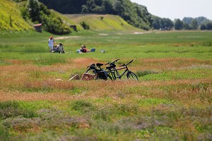 BAIE DE SOMME, FRANCE 
