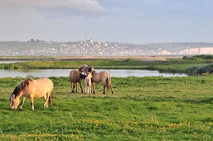 BAIE DE SOMME ET BAIN DE LUMIERE, FRANCE 