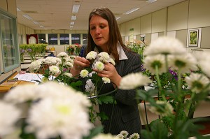 AALSMEER, A VEGETAL WALL STREET, PAYS-BAS 