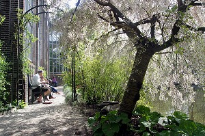 LE JARDIN BOTANIQUE, HORTUS BOTANICUS, AMSTERDAM, PAYS-BAS 