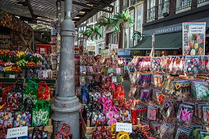 MARCHE AUX FLEURS ET AUX TULIPES DE BLOEMENMARKT, VILLE D'AMSTERDAM, PAYS-BAS 