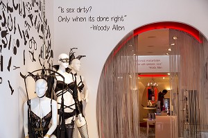 BOUTIQUE SEXSHOP HOTSTUFF AVEC DES CITATIONS DE WOODY ALLEN, MAGASIN SPECIALISE DANS LES SEX TOYS ET AUTRES OBJETS SEXUELS ET DE MASTURBATION, QUARTIER ROUGE DE LA  VILLE D'AMSTERDAM, PAYS-BAS 