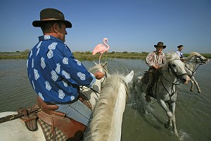 GARDIANS DE CAMARGUE DANS LES VIGNOBLES DES VINS DES SABLES LISTEL 