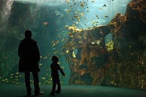 AQUARIUM DE LA ROCHELLE, CHARENTE MARITIME (16) 