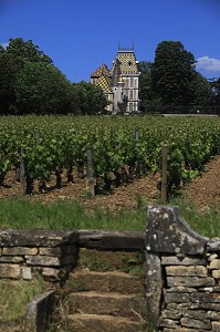 ILLUSTRATION VIN, FRANCE 