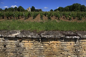 ILLUSTRATION VIN, FRANCE 
