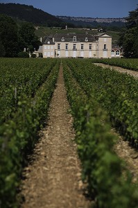 ILLUSTRATION VIN, FRANCE 