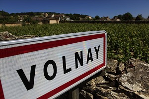 ILLUSTRATION VIN, FRANCE 