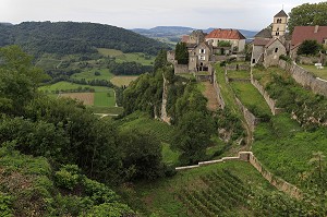 ILLUSTRATION VIN, FRANCE 