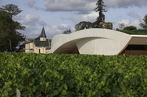 ILLUSTRATION VIN, FRANCE 