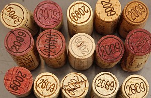 ILLUSTRATION VIN, FRANCE 