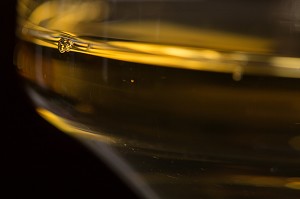 LES VINS D'ALSACE 