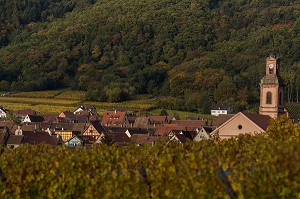 LA VITICULTURE DANS LE HAUT-RHIN (68), GRAND EST, FRANCE 