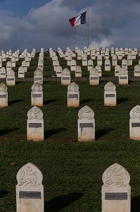 MEMORIAL DES COMBATS DE LA POCHE DE COLMAR, (68) HAUT-RHIN, GRAND EST, FRANCE 