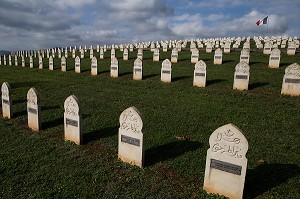 MEMORIAL DES COMBATS DE LA POCHE DE COLMAR, (68) HAUT-RHIN, GRAND EST, FRANCE 