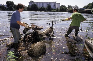 SORTIE D'UN VELOMOTEUR LORS D'UN NETTOYAGE DES BORDS DE MARNE PAR L'ASSOCIATION OSE (ORGANE DE SAUVETAGE ECOLOGIQUE), IVRY-SUR-SEINE (94), FRANCE 