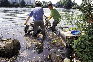 SORTIE D'UN VELOMOTEUR LORS D'UN NETTOYAGE DES BORDS DE MARNE PAR L'ASSOCIATION OSE (ORGANE DE SAUVETAGE ECOLOGIQUE), IVRY-SUR-SEINE (94), FRANCE 