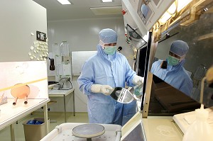 SOCIETE SNA, FABRICATION DE CD ET DVD, TOUROUVRE, ORNE (61) 