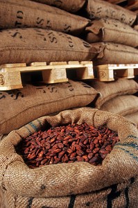 FEVES DE CACAO DANS DES SACS EN TOILE DE JUTE POUR LE TRANSPORT, CHOCOLATERIE MICHEL CLUIZEL, DAMVILLE, EURE (27), FRANCE 