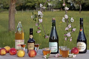 BOISSONS DU TERROIR DE NORMANDIE (CIDRE, CALVADOS, POMMEAU, JUS DE POMMES...), FRANCE 