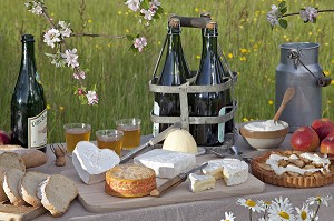 PRODUITS DU TERROIR DE NORMANDIE (CIDRE, LAIT, FROMAGES, PAIN, POMMES, TARTE NORMANDE...), FRANCE 