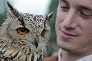 HIBOU GRAND DUC DU BENGALE, SPECTACLE DE FAUCONNERIE ET VOL DE RAPACES, CEREMONIE POUR LE RETOUR DE LA DEPOUILLE DE DIANE DE POITIERS A LA CHAPELLE SEPULCRALE DU CHATEAU D'ANET, 29 MAI 2010, EURE-ET-LOIR (28), FRANCE 