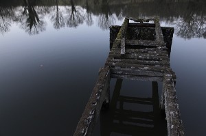 VIEUX PONTON ABANDONNE SUR UN ETANG A LA TOMBEE DE LA NUIT, SAINT-MOREIL, PLATEAU DES MILLE VACHES, CREUSE (23), FRANCE 