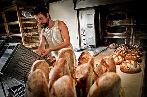 JEROME, BOULANGER FABRICANT DU PAIN ISSU DE L'AGRICULTURE BIOLOGIQUE APRES UNE ORIENTATION VERS L'EDUCATION NATIONALE, IL S'INSTALLE DANS LA CREUSE, FRANCE 