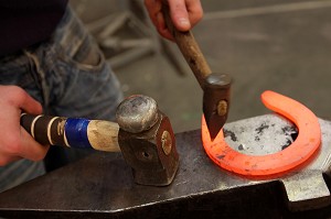 FABRICATION DE FER A CHEVAL, MARECHALERIE, 42 EME OLYMPIADES DES METIERS EN BRETAGNE, RENNES, FRANCE 