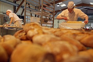 ETUDIANT EN BOULANGERIE PATISSERIE, 42 EME OLYMPIADES DES METIERS EN BRETAGNE, RENNES, FRANCE 
