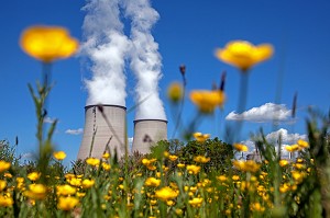 CENTRALE NUCLEAIRE DE BELLEVILLE-SUR-LOIRE, PRES D'UN CHAMP DE BOUTON D'OR, AU PRINTEMPS, CHER (18), FRANCE 