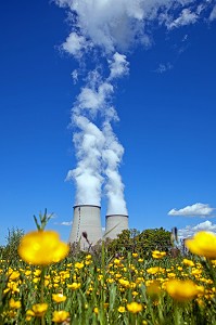 CENTRALE NUCLEAIRE DE BELLEVILLE-SUR-LOIRE, PRES D'UN CHAMP DE BOUTON D'OR, AU PRINTEMPS, CHER (18), FRANCE 