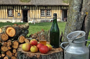 POMMES, CIDRE NORMAND ET BIDONS DE LAIT DEVANT UNE CHAUMIERE NORMANDE, BOURNEVILLE, REGION DE PONT-AUDEMER, EURE (27), FRANCE 