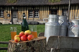 POMMES, CIDRE NORMAND ET BIDONS DE LAIT DEVANT UNE CHAUMIERE NORMANDE, BOURNEVILLE, REGION DE PONT-AUDEMER, EURE (27), FRANCE 