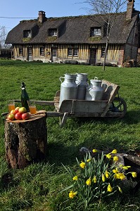 POMMES, CIDRE NORMAND ET BIDONS DE LAIT DEVANT UNE CHAUMIERE NORMANDE, BOURNEVILLE, REGION DE PONT-AUDEMER, EURE (27), FRANCE 