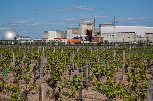 VIGNOBLE PRES DE LA CENTRALE NUCLEAIRE DE CHINON, INDRE-ET-LOIRE (37), FRANCE 