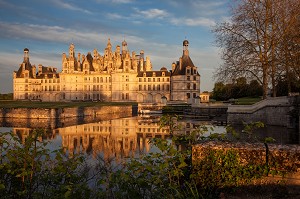 LE COSSON TRAVERSANT LE PARC DU CHATEAU DE CHAMBORD, DE STYLE RENAISSANCE, LOIR-ET-CHER (41), FRANCE 