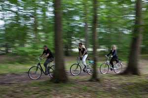 GROUPE DE CYCLISTES EN FORET DE CHAMBORD, ITINERAIRE DE LA LOIRE A VELO, LOIR-ET-CHER (41), FRANCE 