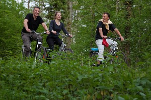 GROUPE DE CYCLISTES EN FORET DE CHAMBORD, ITINERAIRE DE LA LOIRE A VELO, LOIR-ET-CHER (41), FRANCE 