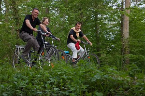 GROUPE DE CYCLISTES EN FORET DE CHAMBORD, ITINERAIRE DE LA LOIRE A VELO, LOIR-ET-CHER (41), FRANCE 