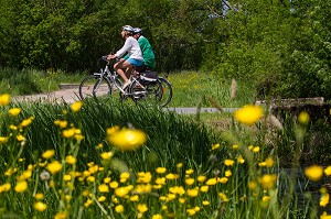 CYCLISTES DANS LE BOCAGE DE SAVIGNY-EN-VERON, ITINERAIRE DE LA LOIRE A VELO, INDRE-ET-LOIRE (37), FRANCE 