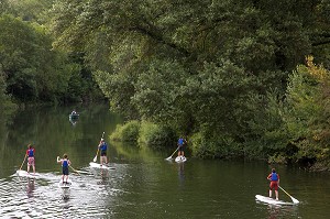 ACTIVITE SUP, STAND UP PADDLE, DESCENTE DE LA RIVIERE LE LOT DEBOUT SUR UNE PLANCHE, SAINTE-EULALIE D'OLT, AVEYRON (12), FRANCE 